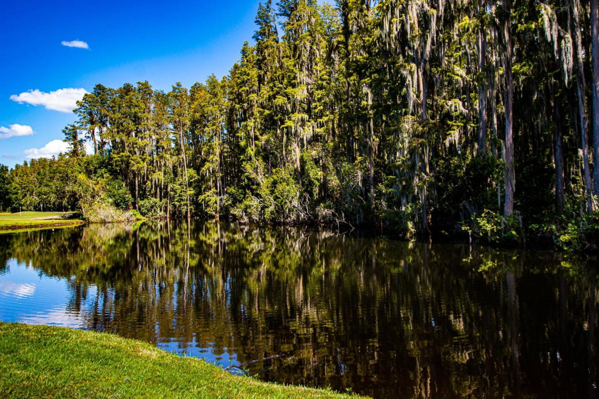 Golf And Tennis Community - Peaceful Pond Paradise - Pet Friendly Villa Wesley Chapel Exterior photo