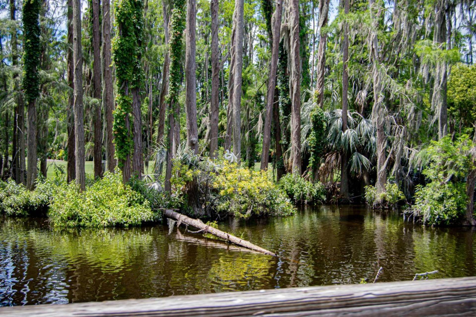 Golf And Tennis Community - Peaceful Pond Paradise - Pet Friendly Villa Wesley Chapel Exterior photo